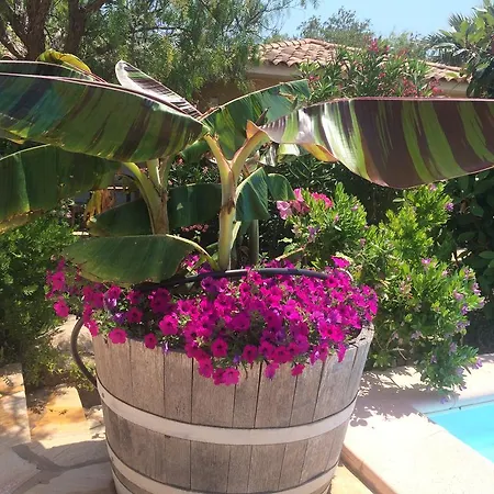 Studio Marina Rossa Porto Vecchio